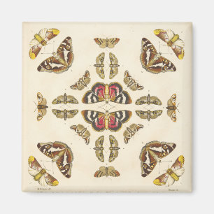 Íman Detalhe da placa VI