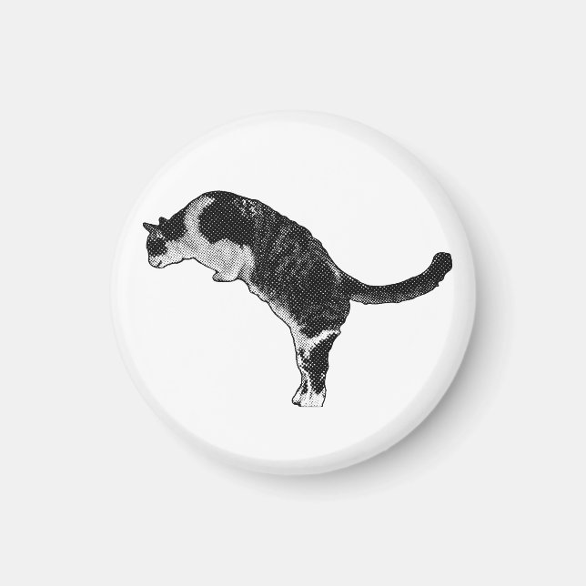 Íman Detalhe de Gato Magnético (Frente)