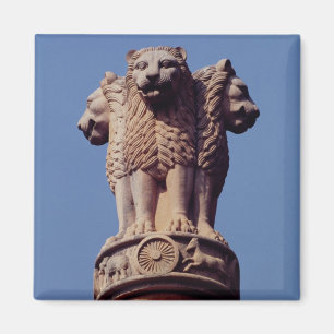 Íman Detalhe de uma coluna de Ashoka