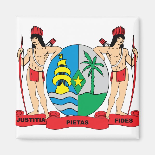 Íman Detalhe do Casaco de armas do Suriname (Frente)