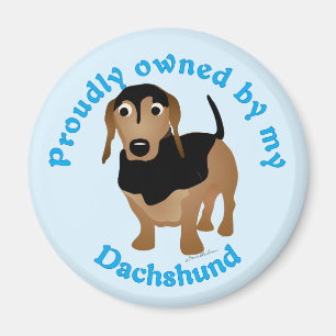 Íman Detida orgulhosamente pelo meu Dachshund