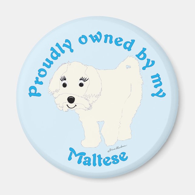 Íman Detida orgulhosamente por um maltês (Frente)