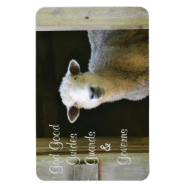 Íman Deus É Uma Boa Ovelha