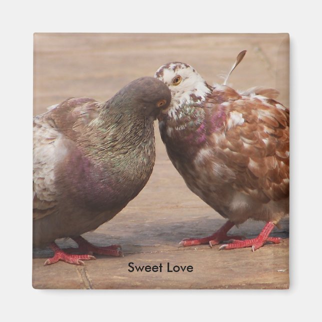 Íman Deve ser amor (Frente)