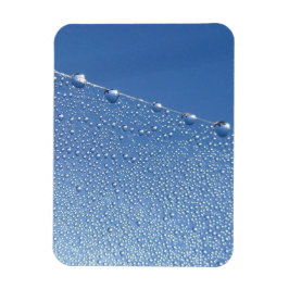 Íman Dew Drops na aranha contra o céu azul