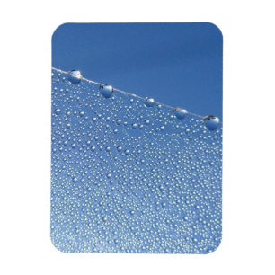 Íman Dew Drops na aranha contra o céu azul