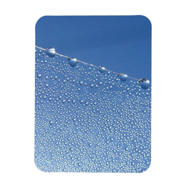 Íman Dew Drops na aranha contra o céu azul (Vertical)