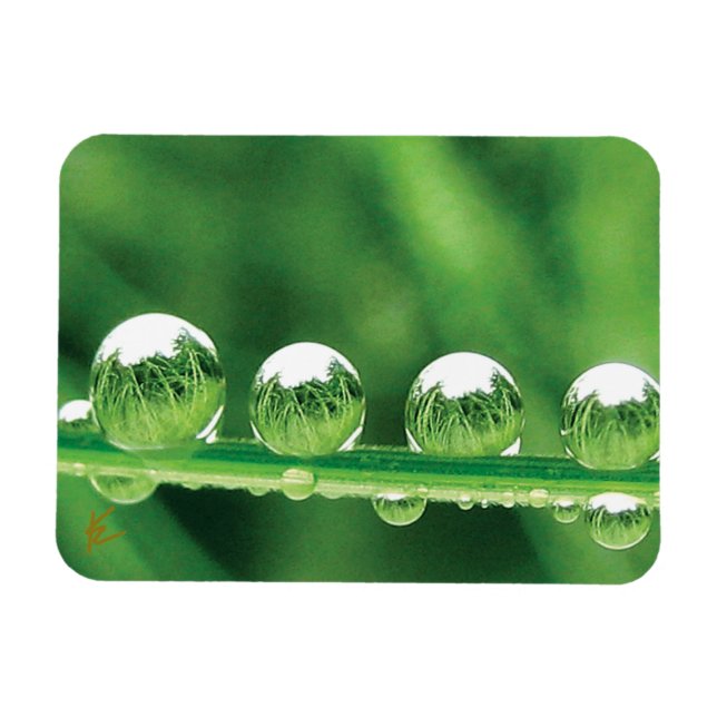 Íman Dew Drops On Green Grass Elegant Nature (Horizontal)