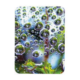 Íman Dew Drops on Spider Web Amazing Nature