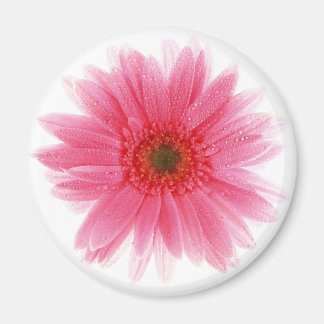 Íman Dewy Pink Gerbera Flower