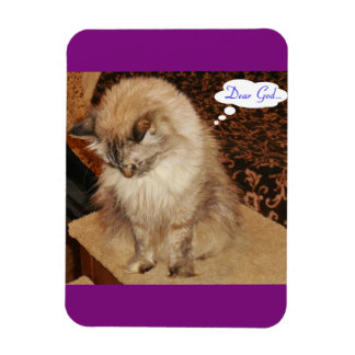 Íman Dezi reza imã