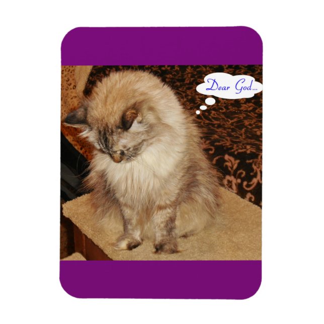 Íman Dezi reza imã (Vertical)