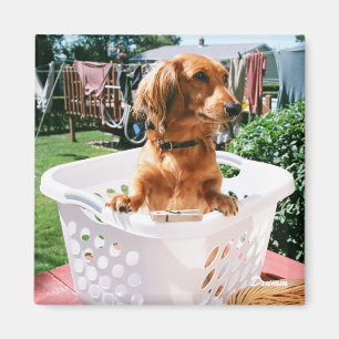 Íman Dia da Lavagem