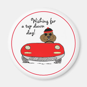 Íman Dia da Marmota Superior para Baixo