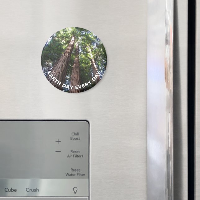 Íman Dia da Terra, Árvores de Sequoia (In Situ (Fridge))
