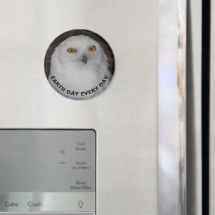 Íman Dia da Terra Todos os Dias Foto de Fora de Neve