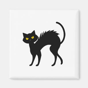 Íman Dia das Bruxas de Gato Negro - Gatos Pretos