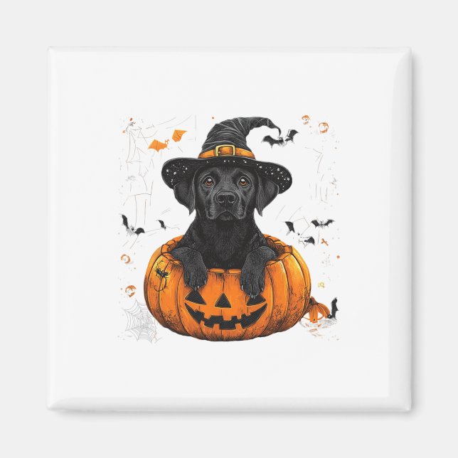 Íman Dia de Ação de Graças do Black Labrador Pumpkin Ha (Frente)