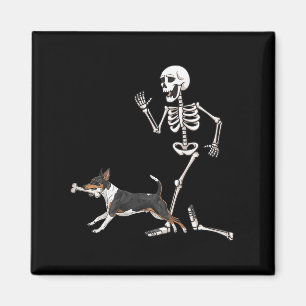 Íman Dia de as Bruxas engraçado Rat Terrier E Esqueleto