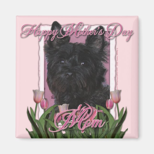 Íman Dia de as mães - Tulipas cor-de-rosa - Cairn Terri (Frente)
