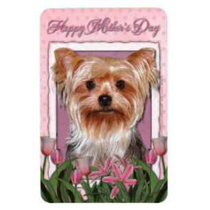 Íman Dia de as mães - Tulipas Rosa - Yorkshire Terrier
