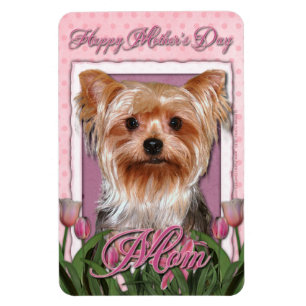 Íman Dia de as mães - Tulipas Rosa - Yorkshire Terrier