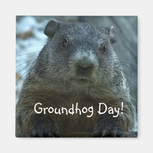 Íman Dia de Groundhog!!
