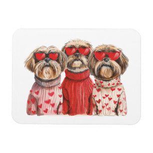 Íman Dia de os namorados Shih Tzu Dogs