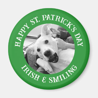 Íman Dia de São Patrício Engraçado Cachorro Irlandês e 