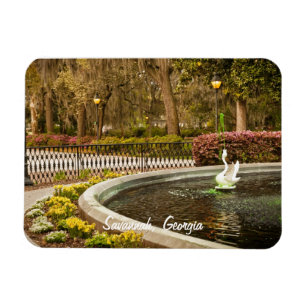 Íman Dia de São Patrício - fonte de Forsyth, savana,