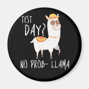 Íman Dia de Teste Sem Prob Llama Professora Ensinando E