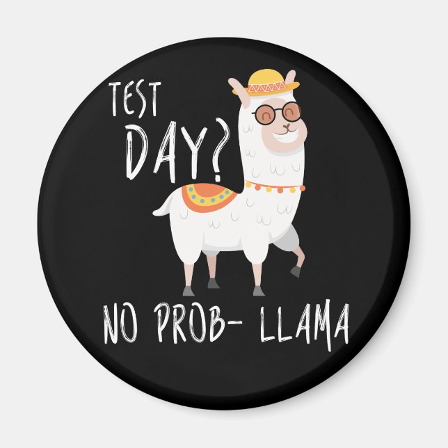 Íman Dia de Teste Sem Prob Llama Professora Ensinando E (Frente)