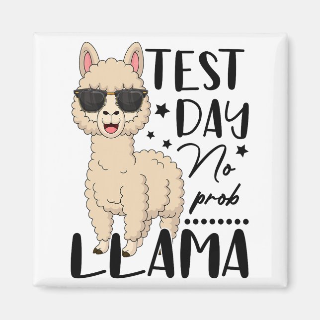 Íman Dia de Teste Sem Teste Prob Llama Estudante Teste  (Frente)