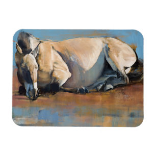 Íman Dia do céu azul