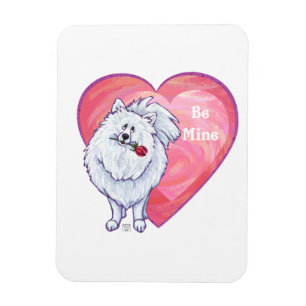 Íman Dia dos namorados branco de Pomeranian