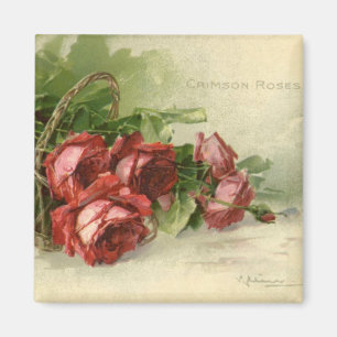 Íman Dia dos namorados do vintage, rosas vermelhas
