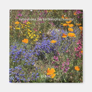 Íman Dia Internacional da Biodiversidade