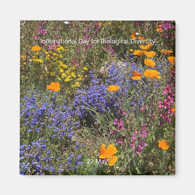 Íman Dia Internacional da Biodiversidade (Frente)