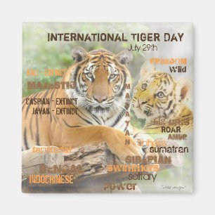 Íman Dia Internacional do Tigre, 29 de julho, Tipografi