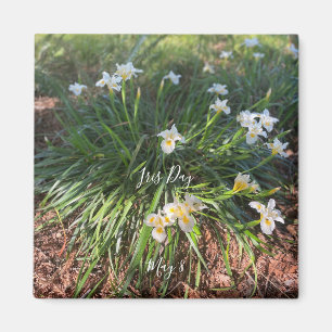 Íman Dia Mundial da Celebração: Íris