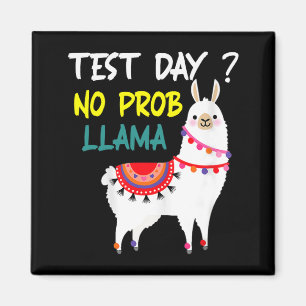 Íman Dia Sem Prob-llama Llama Dia De Teste De Professor