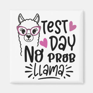 Íman Dia sem Prob-llama Llama Testando o Professor Dia