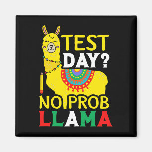 Íman Dia sem Prob-llama Professor Ensinando Teste de Ex