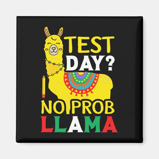 Íman Dia sem Prob-llama Professor Ensinando Teste de Ex (Frente)