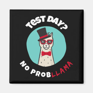 Íman Dia sem problemas Teste engraçado Llama Design