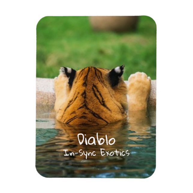 Íman Diablo - (Vertical)