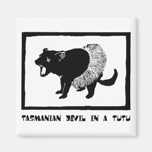 Íman Diabo tasmaniano em um tutu
