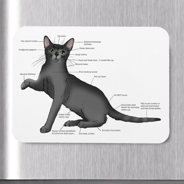 Íman Diagrama de Anatomia de Gato Engraçado Humor Nerd (Criador carregado)