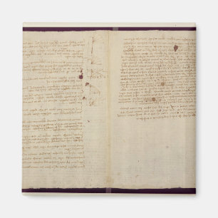 Íman Diagramas científicos