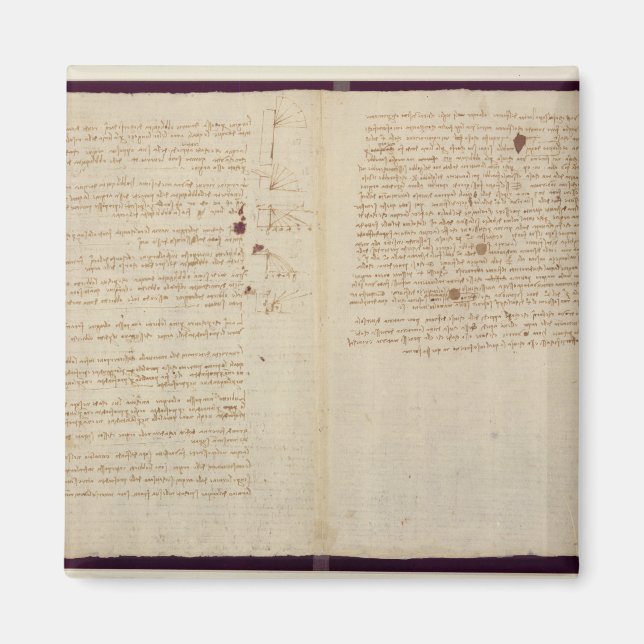 Íman Diagramas científicos (Frente)